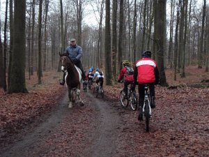 Waldtour 021